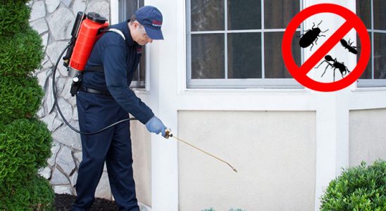 Şirvan Bit İlaçlama böcek ilaçlama ve haşere kontrolü — ilaclama-tr.com